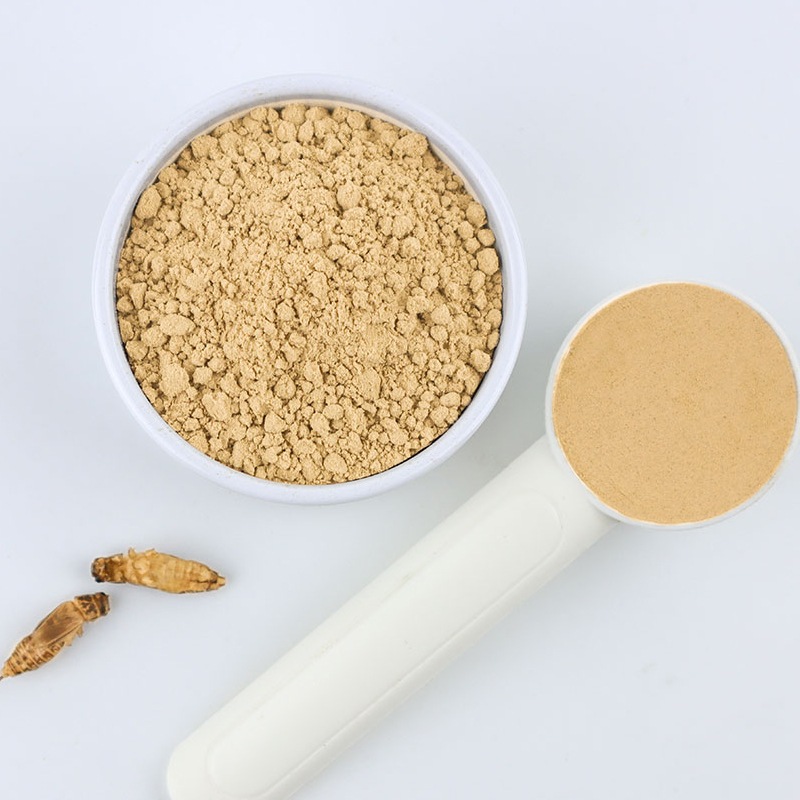 Cricket Powder100g(衼åѥѥ100g)  x 10