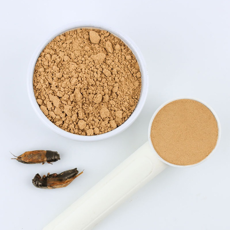 Cricket Powder 100g  (�ե��ۥ����������ѥ�����100g)  x  10��