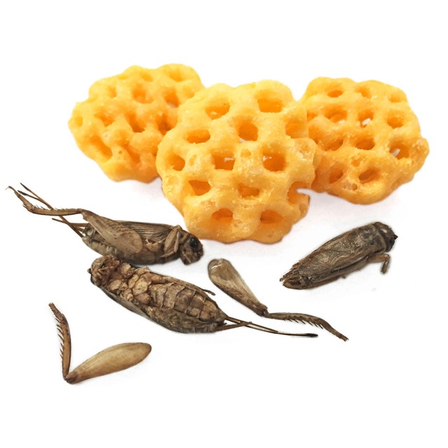 ̤�襳���������ʥå�������30��