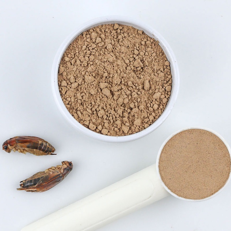 Cricket Powder 100g (ޥ󥳥ѥ100g)