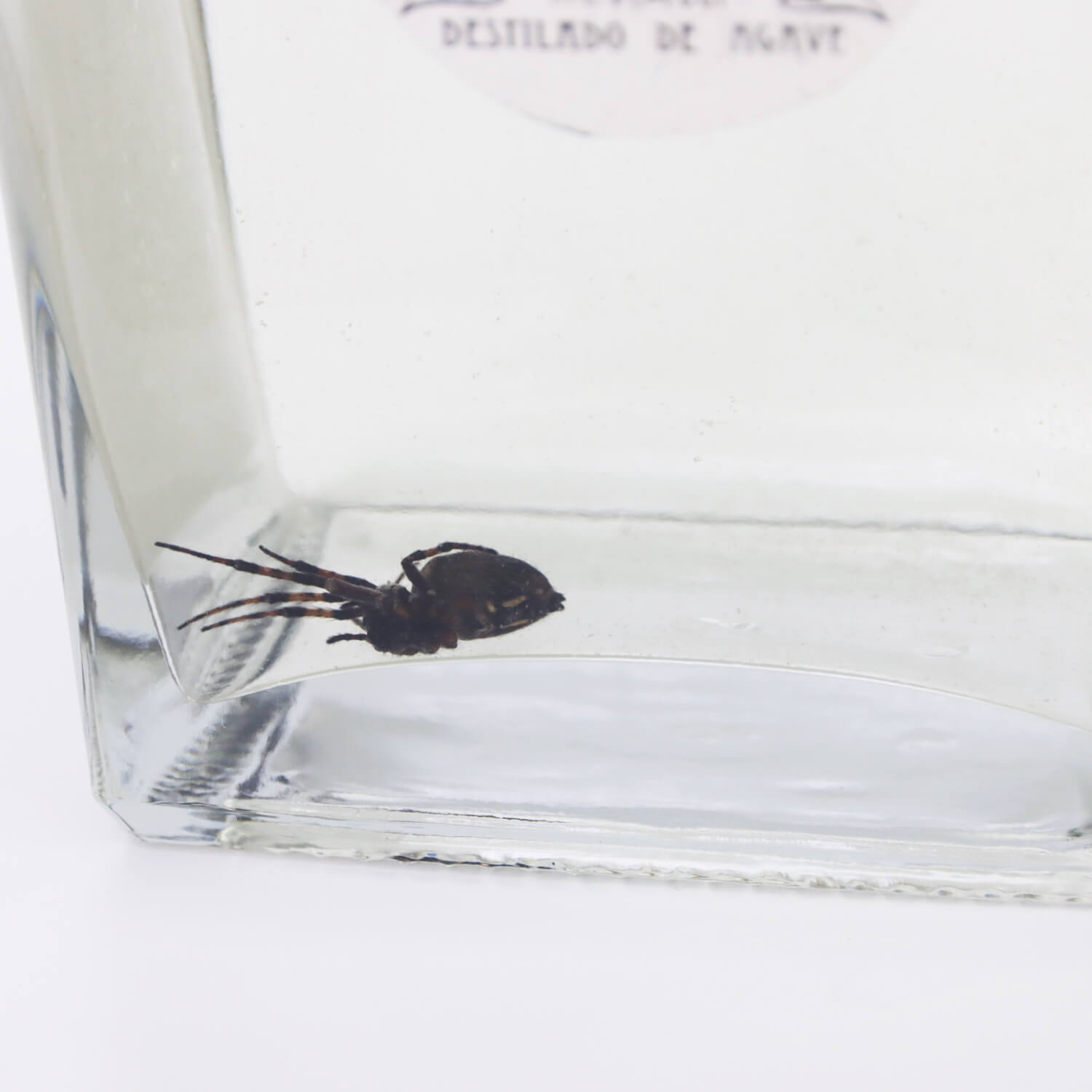  ԥå ˥㡦ϥ󥷥 40% 750ml(ҥᥪ˥)