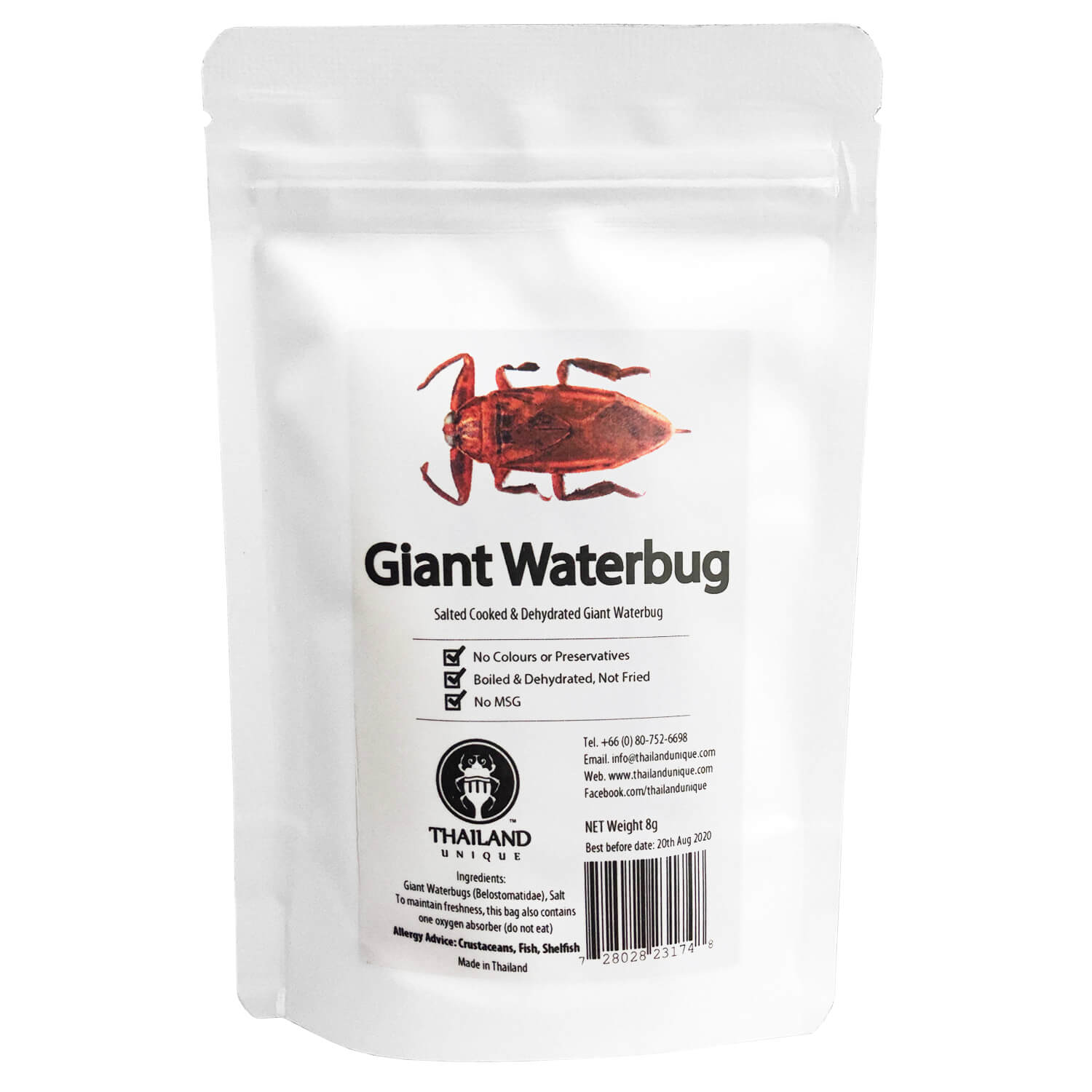 Giant Waterbugs()(᥹)x 10