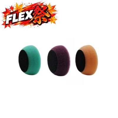 FLEX 2������Х� ���Ƽ�