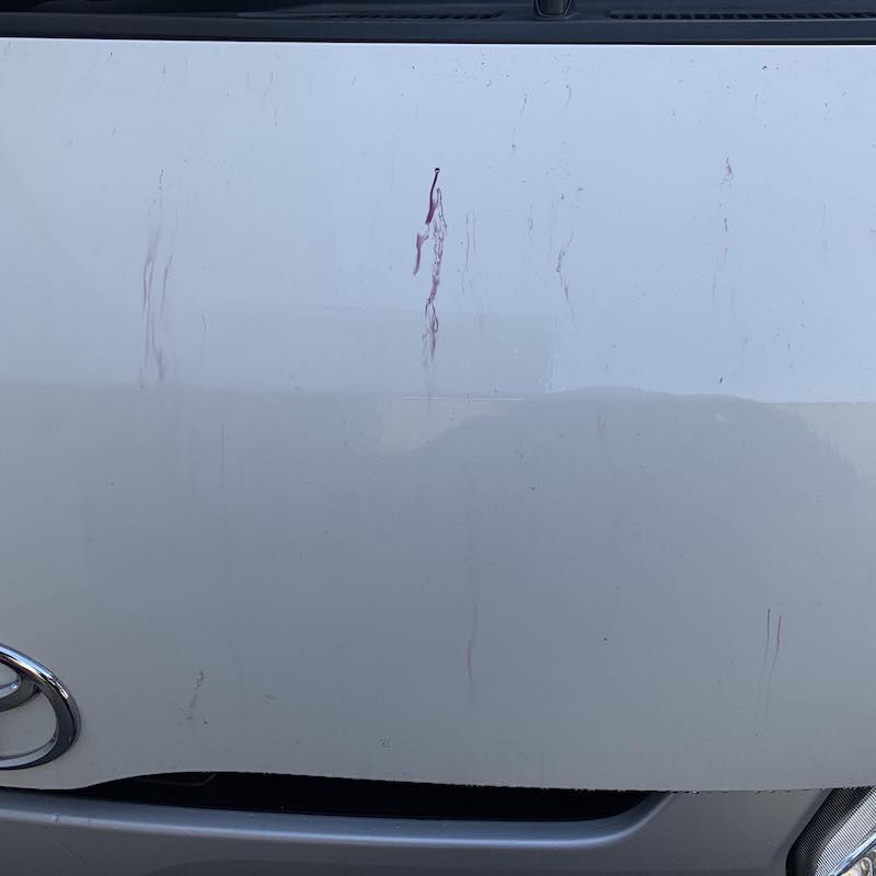 FC The Remover for IRON