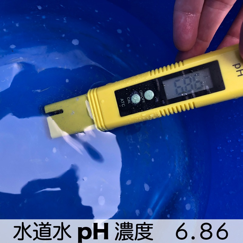 FC SuperRevive ���������ס�