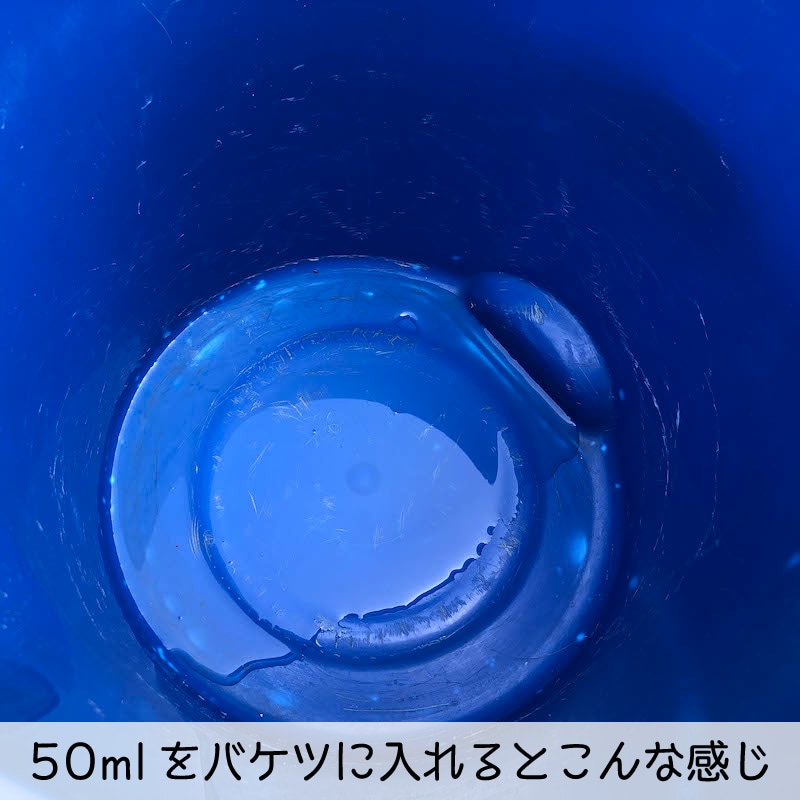 FC SuperRevive ���������ס�