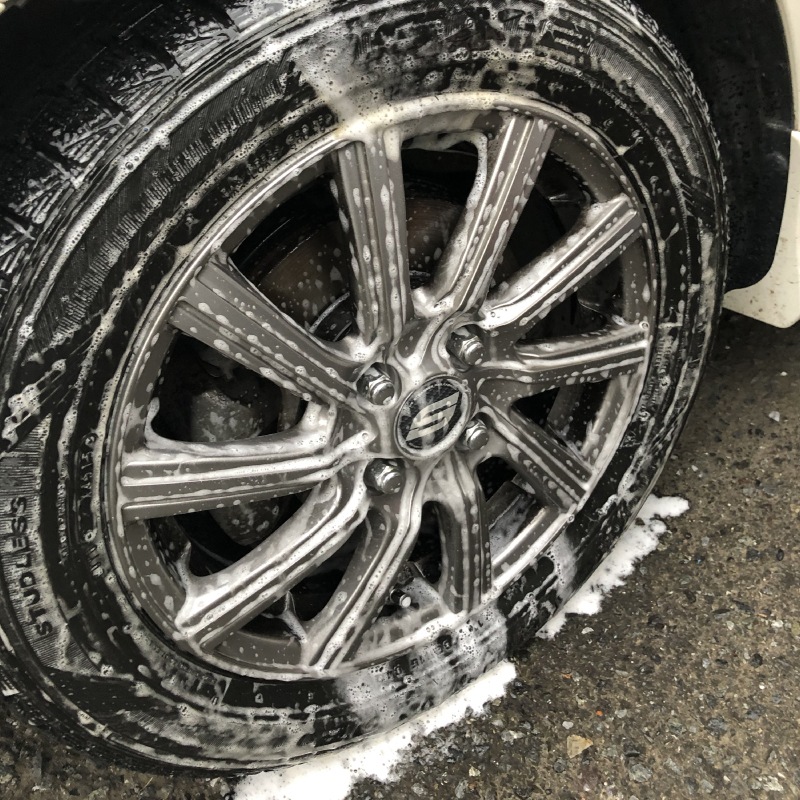 FC SUNNY �奢�륫���������ס�