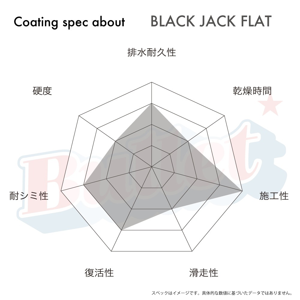 FC Black Jack FLAT (�ե�å�)