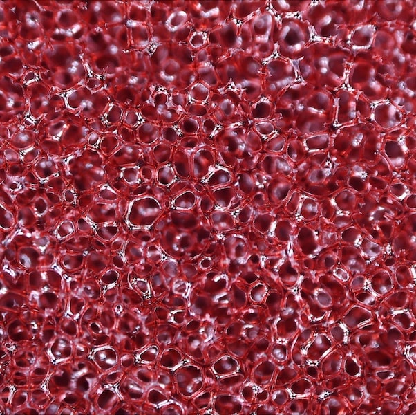 kaiserjp WR100 Expert