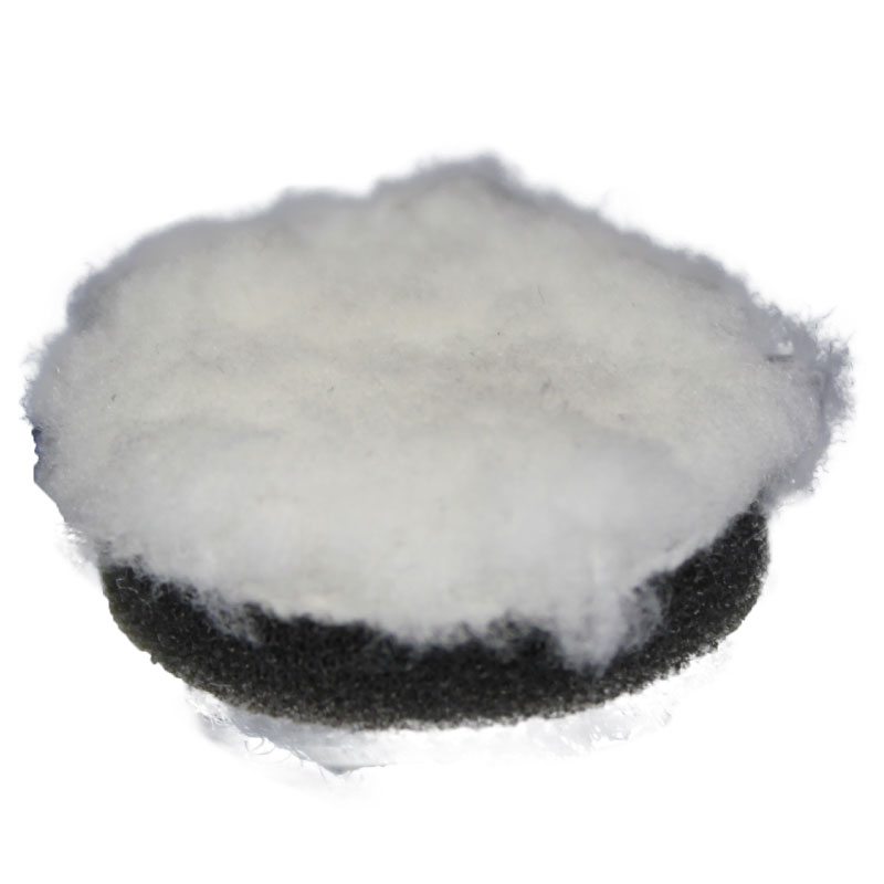 �Ḧ 20���ե����С��Х� 10�祻�å�