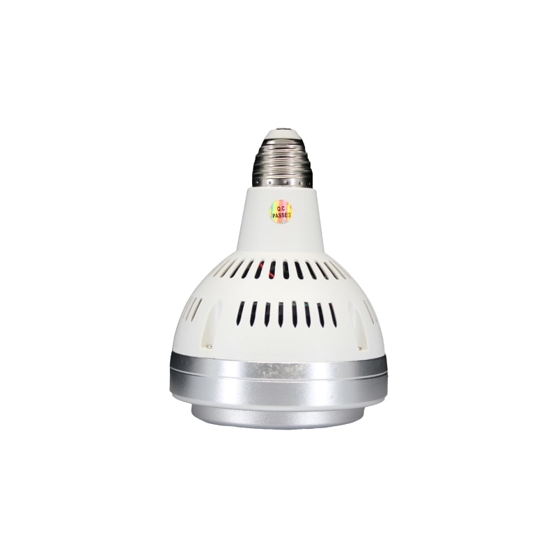 KAISERJP D-Light�ʸ���������󥸡�