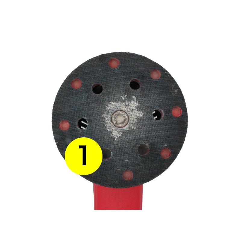 412 NORTH WOLF BNT50821