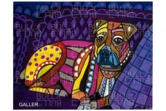 �ݥ��������ܥ������ڥ᡼�����Բġ�