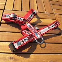 ���㥫����PP�ͥ��ƥ������ϡ��ͥ�A���֡ˡ�ñ�ʥ᡼���ز�/�꡼�ɤȤΥ᡼����Ʊ���ġ�