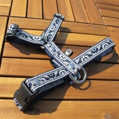 ���㥫���ɥ�ܥ�/�ۿ��ե��ϡ��ͥ��ʥͥ��ӡ��ˡ�ñ�ʥ᡼���ز�/�꡼�ɤȤΥ᡼����Ʊ���ġ�