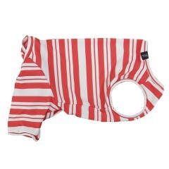 �������ܡ������ƤĤʤ��ڲƤĤʤ�2��or�ƤĤʤ�1���T�����(����)1��ϥ᡼���زġ�