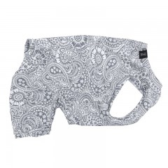 �֤䤫�ڥ����꡼�ƤĤʤ��ڲƤĤʤ�2��or�ƤĤʤ�1���T�����(����)1��ϥ᡼���زġ��֤䤫�ڥ����꡼