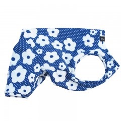 �ɥåȡߥե��ƤĤʤ��ڲƤĤʤ�2��or�ƤĤʤ�1���T�����(����)1��ϥ᡼���زġ�