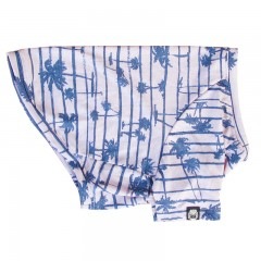 ������T����ġ�T�����2��or���󥯥ȥå�1���T�����1��ϥ᡼���زġ�