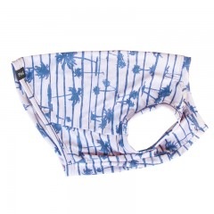 �����ߥ��󥯥ȥåס�T�����2��or���󥯥ȥå�1���T�����1��ϥ᡼���زġ�