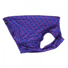 �������������󥯥ȥåס�T�����2��or���󥯥ȥå�1���T�����1��ϥ᡼���زġ�