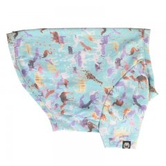 ����������󥰥�T����ġ�T�����2��or���󥯥ȥå�1���T�����1��ϥ᡼���زġ�