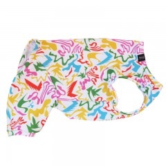 եƤĤʤڲƤĤʤ2orƤĤʤ1T()1ϥ᡼زġ