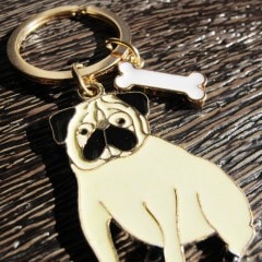 �ѥ������ۥ�����ڥ᡼���زġ�