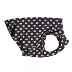 ���֥�ɥåȥ��󥯥ȥåס�T�����2��or���󥯥ȥå�1���T�����1��ϥ᡼���زġ�