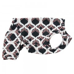 ƥƤĤʤڲƤĤʤ2orƤĤʤ1T()1ϥ᡼زġ