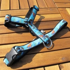 ���㥫���ɥ�ܥ�/������֤����ϡ��ͥ���ñ�ʥ᡼���ز�/�꡼�ɤȤΥ᡼����Ʊ���ġ�