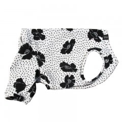 ɥåȡȥեƤĤʤڲƤĤʤ2orƤĤʤ1T()1ϥ᡼زġ