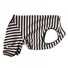 ŴĥܡƤĤʤڲƤĤʤ2orƤĤʤ1T()1ϥ᡼زġ