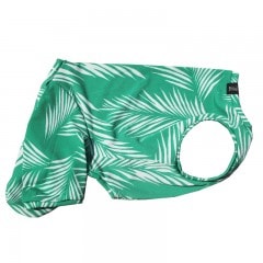 䥷ڥץȲƤĤʤڲƤĤʤ2orƤĤʤ1T()1ϥ᡼زġ