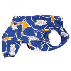 դפʤƤĤʤڲƤĤʤ2orƤĤʤ1T()1ϥ᡼زġ