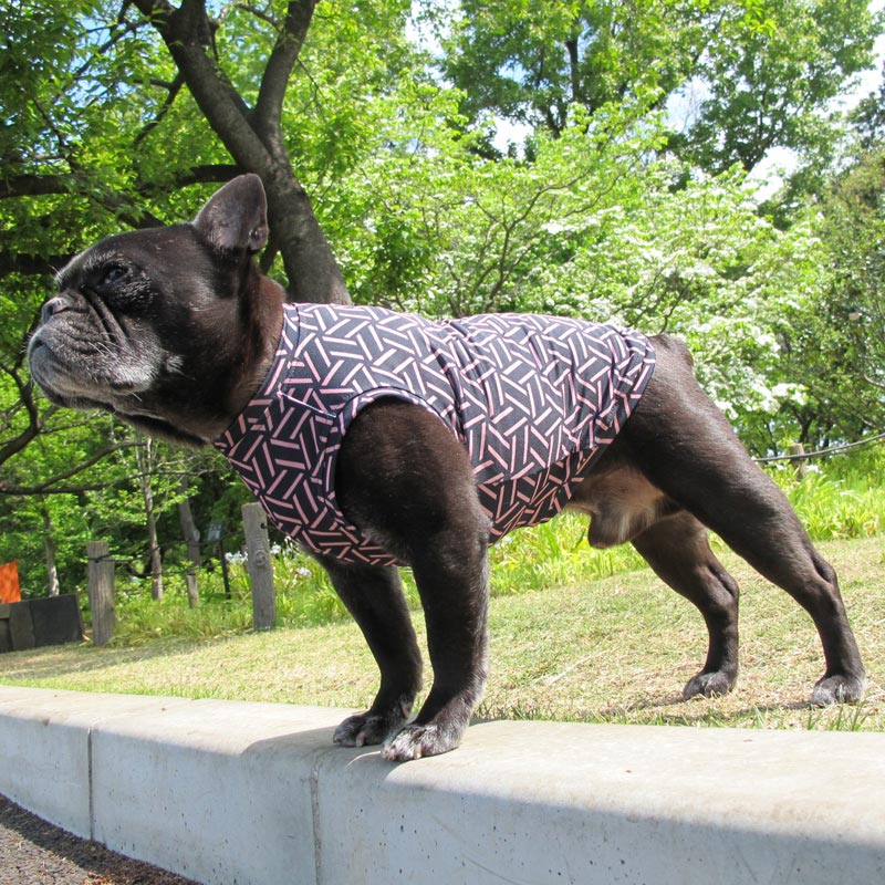 残りSサイズのみ☆シームレスパターンモダンTタンクトップ【Tシャツ2着