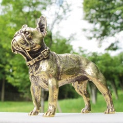 ��﫥֥���