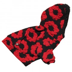 Ω�Τ��֥ѡ����ڥ᡼�����Բġ�