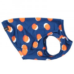 ۥθ󥯥ȥåסT2or󥯥ȥå1T1ϥ᡼زġ