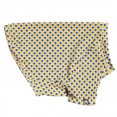 ͳѤȥʥץTġT2or󥯥ȥå1T1ϥ᡼زġ