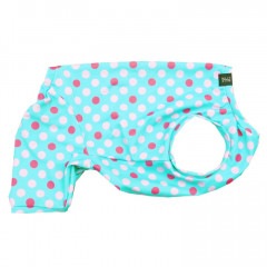 åʥɥåȲƤĤʤڲƤĤʤ2orƤĤʤ1T()1ϥ᡼زġ