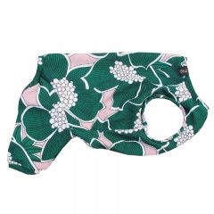 դפʤƤĤʤڲƤĤʤ2orƤĤʤ1T()1ϥ᡼زġ