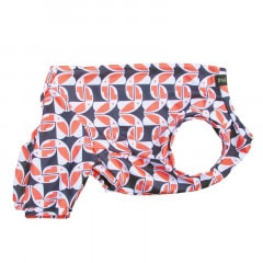 ĤMΤߡ̲ߤߤʲƤĤʤڲƤĤʤ2orƤĤʤ1T()1ϥ᡼زġ