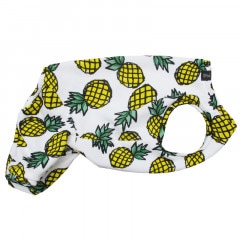 ƤѥʥåץƤĤʤڲƤĤʤ2orƤĤʤ1T()1ϥ᡼زġ