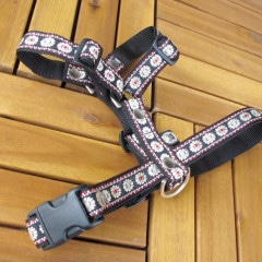 ���㥫���ɥ�ܥ�/����������ϡ��ͥ���ñ�ʥ᡼���ز�/�꡼�ɤȤΥ᡼����Ʊ���ġ�