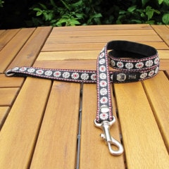 ���㥫���ɥ�ܥ�/����������꡼�ɡ�ñ�ʥ᡼���ز�/�ϡ��ͥ������ؤȤΥ᡼����Ʊ���ġ�