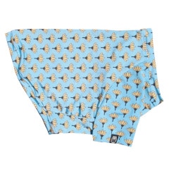 ϡ�ʤΤ�����T����ġ�T�����2��or���󥯥ȥå�1���T�����1��ϥ᡼���زġ�