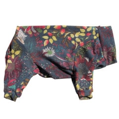 ��ͥܥ��˥���Ĥʤ��ڰ���Τߥ᡼���زġ�