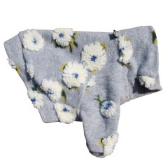 �դ�դ浪�֤ΰ��̥��������ڥ᡼�����Բġ�