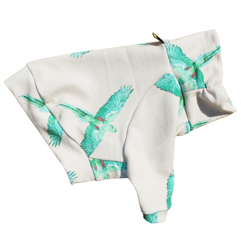 �Ĥ�S�������Τߡ��С��ɽեȥ졼�ʡ��ڰ���Τߥ᡼���زġ�